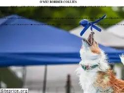 Sites similar to omybordercollies.com