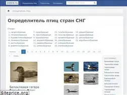 Sites similar to onbird.ru