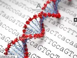 Sites similar to oncogen.it