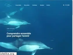 Sites similar to one-ocean-ngo.com