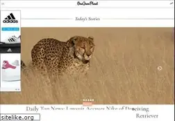 Sites similar to onegreenplanet.org