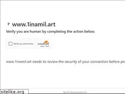 Sites similar to oneinamilphoto.com