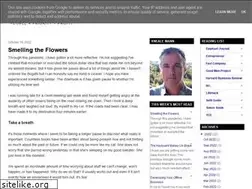 Sites similar to onemann.blogspot.com