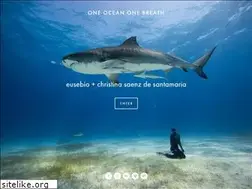 Sites similar to oneoceanonebreath.com