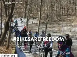 Sites similar to oneononebike.com