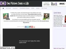 Sites similar to onepicturesaves.com