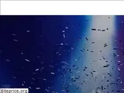 Sites similar to oneteam.in