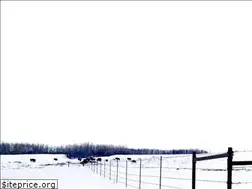 Sites similar to onetimefencing.ca