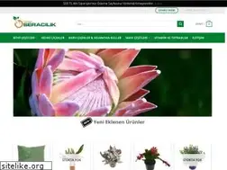 Sites similar to onlineseracilik.com
