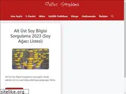 Sites similar to onlinesorgulama.com