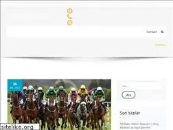 Sites similar to onlinesportshandicappers.com