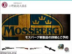 Sites similar to onogun.jp