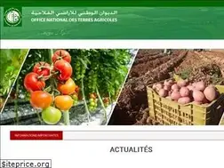 Sites similar to onta.dz
