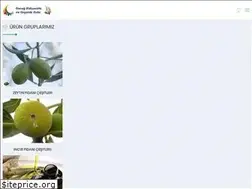 Sites similar to ontugfidancilik.com