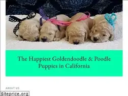 Sites similar to oodlesodoodles.com