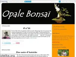Sites similar to opalebonsai.canalblog.com