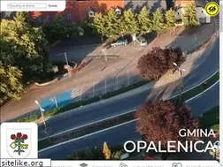 Sites similar to opalenica.pl