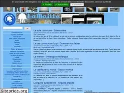 Sites similar to opalesurfcasting.net