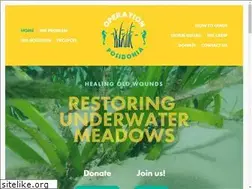Sites similar to operationposidonia.com