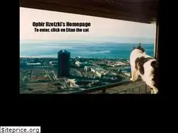 Sites similar to ophirilzetzki.com