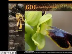 Sites similar to ophrys.cat