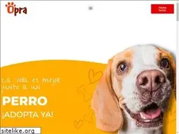 Sites similar to oprachile.cl