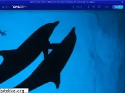 Sites similar to opsociety.org