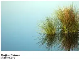 Sites similar to opticanatura.com