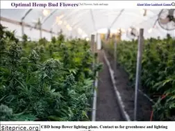 Sites similar to optimal-hemp.com