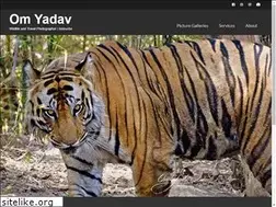 Sites similar to opyadav.com