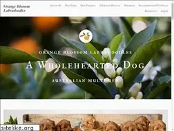Sites similar to orangeblossomlabradoodles.com