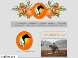 Sites similar to orangeblossommhc.org