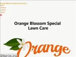 Sites similar to orangeblossomspecial.net