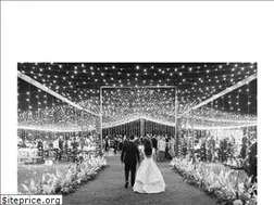 Sites similar to orangeblossomspecialevents.com