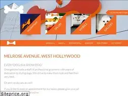Sites similar to orangebone.com