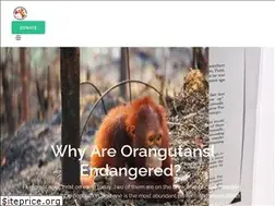 Sites similar to orangutan.com
