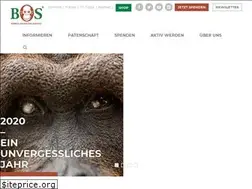 Sites similar to orangutan.de