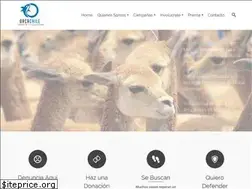 Sites similar to orcachile.org