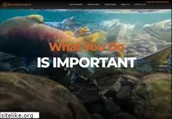 Sites similar to orcadesigngroup.com