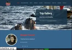 Sites similar to orcanorway.info
