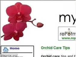 Sites similar to orchid-care.org
