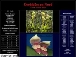 Sites similar to orchid-nord.com