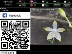 Sites similar to orchid.url.tw