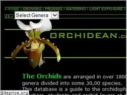 Sites similar to orchidean.com