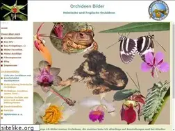 Sites similar to orchideen-bilder.de