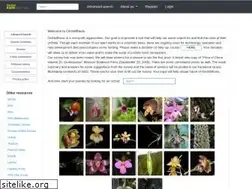 Sites similar to orchidroots.com