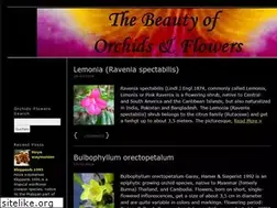 Sites similar to orchids-flowers.com