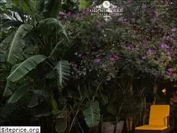 Sites similar to orchidtree.in