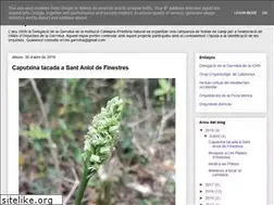 Sites similar to orchis-gxa.blogspot.com