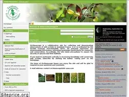 Sites similar to orchisauvage.fr